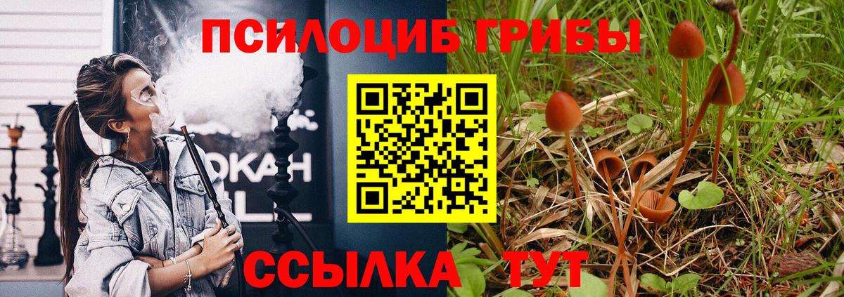 Псилоцибиновые грибы Magic Shrooms Саранск