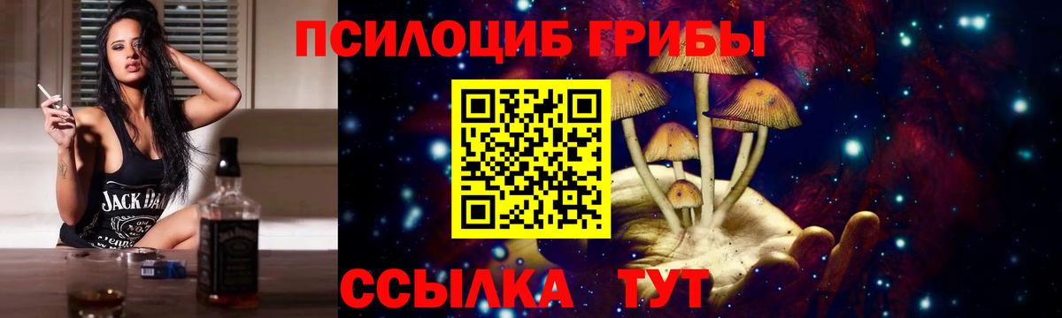 Галлюциногенные грибы MAGIC MUSHROOMS  Псилоцибиновые грибы MAGIC MUSHROOMS  Вход с VPN  Саранск 